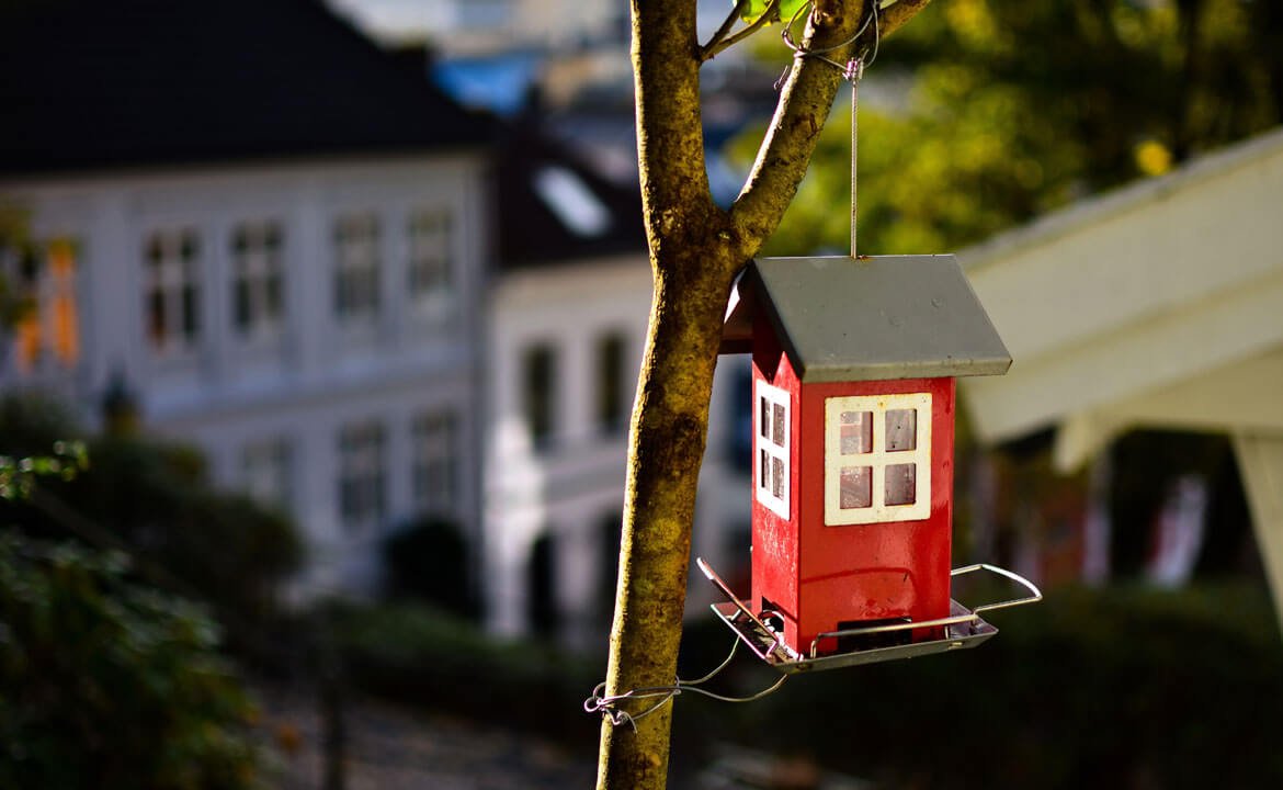 The Big Demand for Tiny Houses